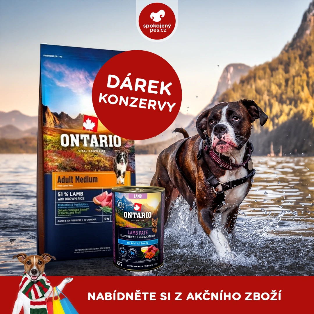 akční únor_1_CZ.webp